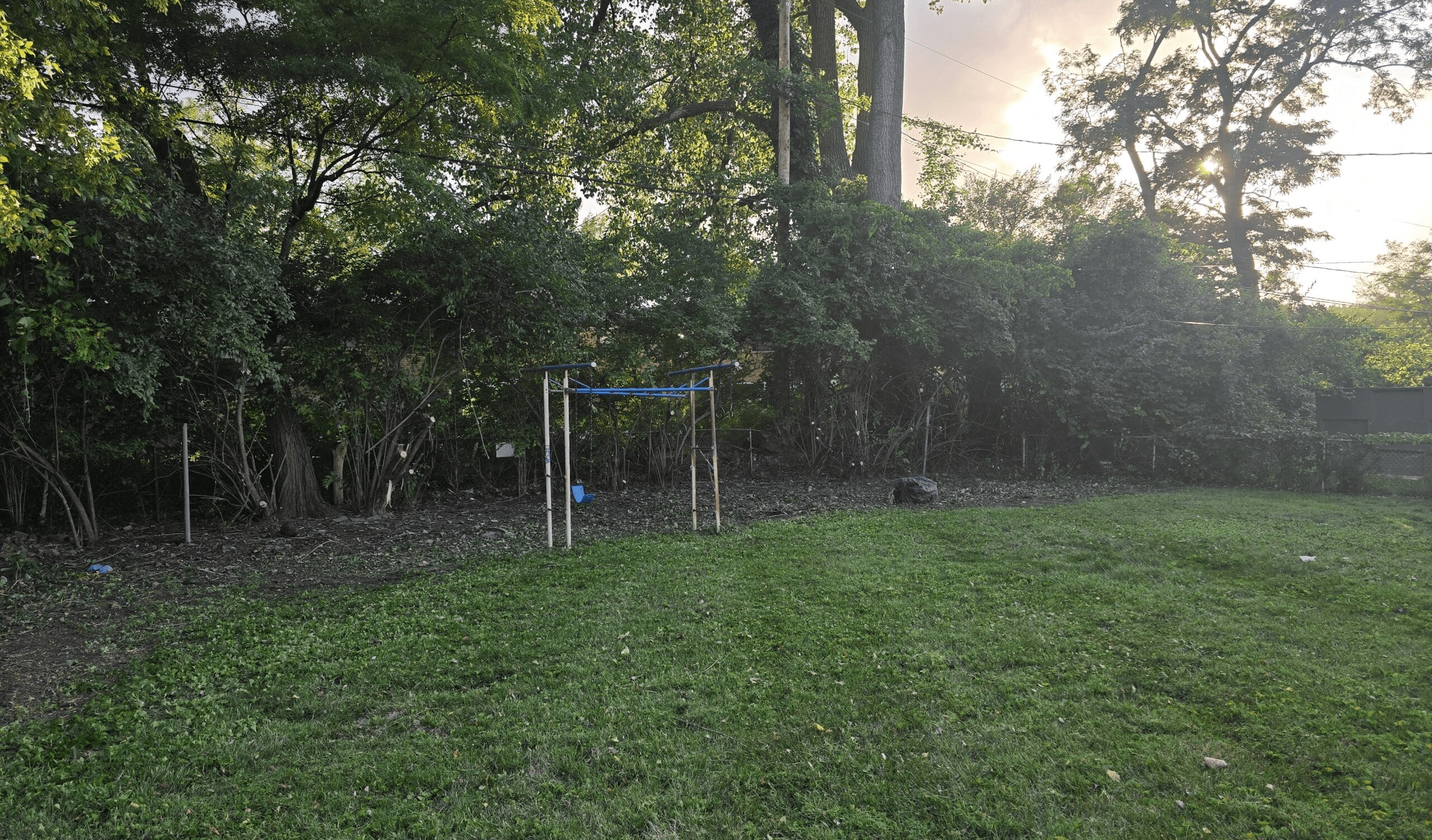 Shrub trimmer and brush remover services Florissant MO