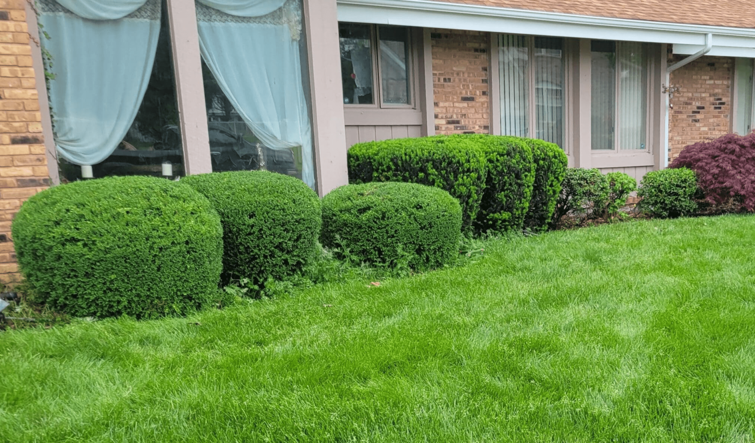 Shrub trimming and brush removal services Florissant MO