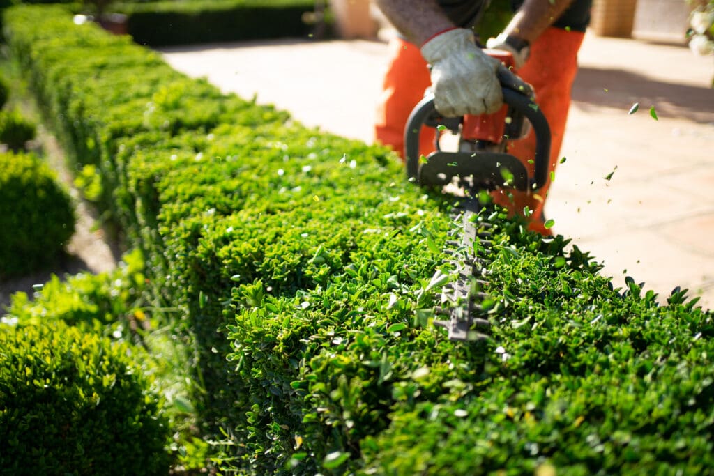 Shrub Trimming & Brush Removal - Fresh Cut Quality Lawn Care