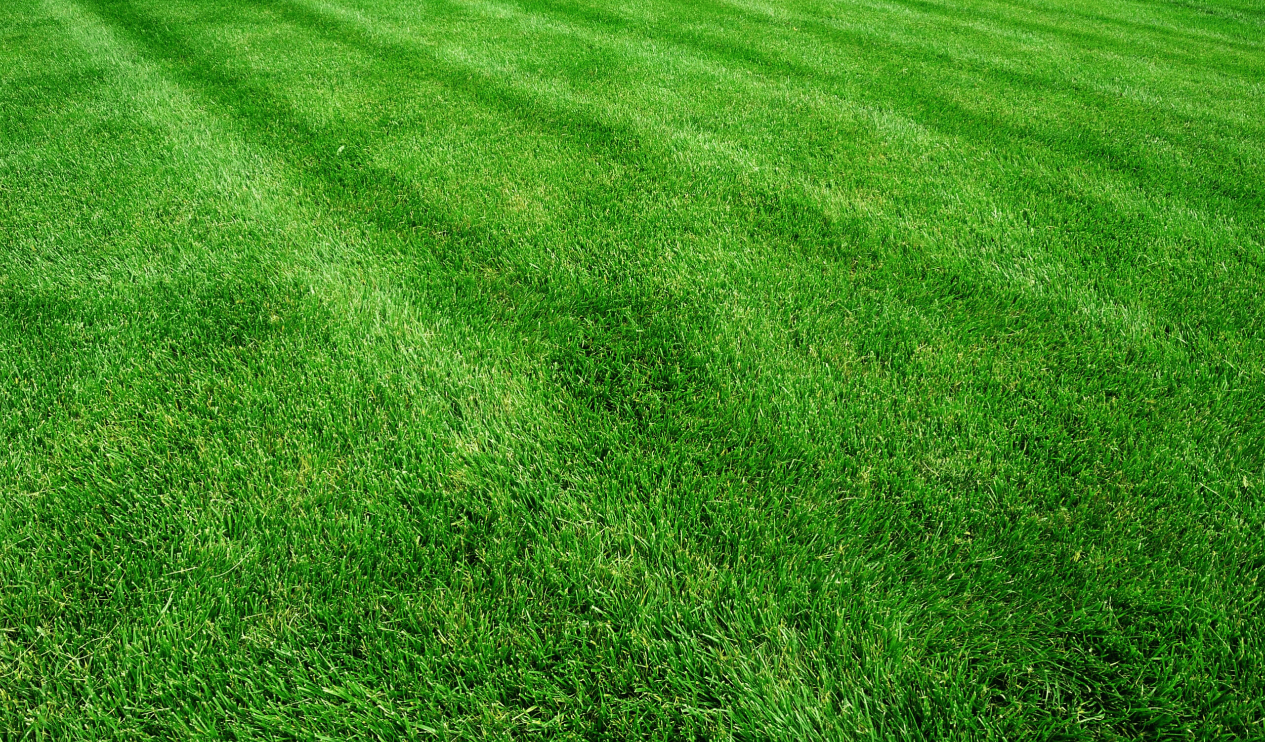 lawn care professional Florissant MO