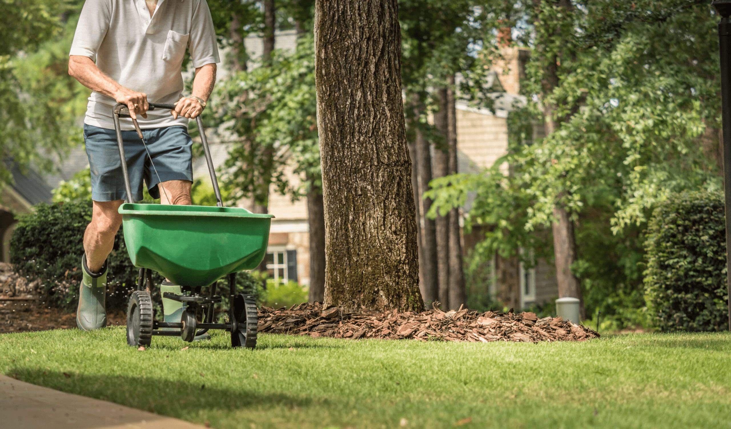 lawn overseeding services florissant mo
