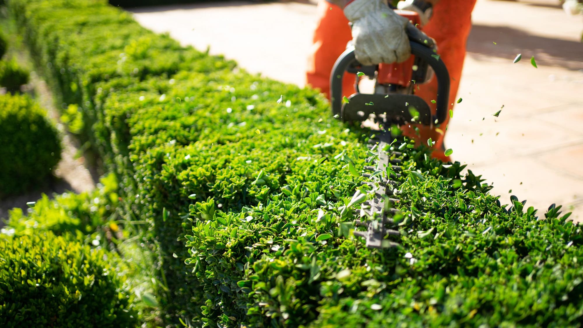 shrub trimming florissant mo