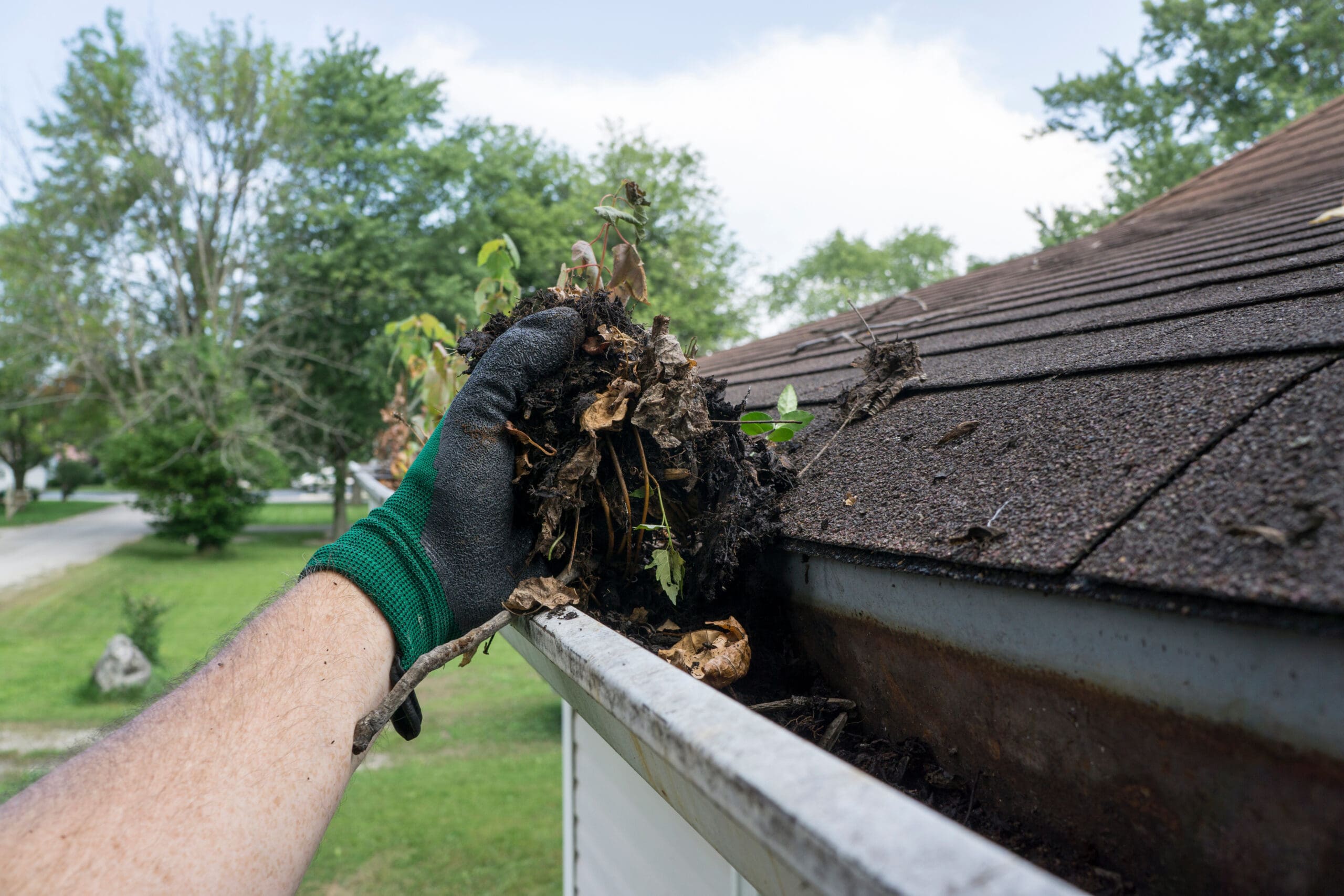 best gutter cleaning florissant mo